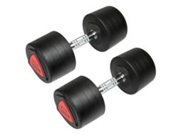 Haltere 27.5Kg 2 Unidades Prateado 27.5 kgfinnlo