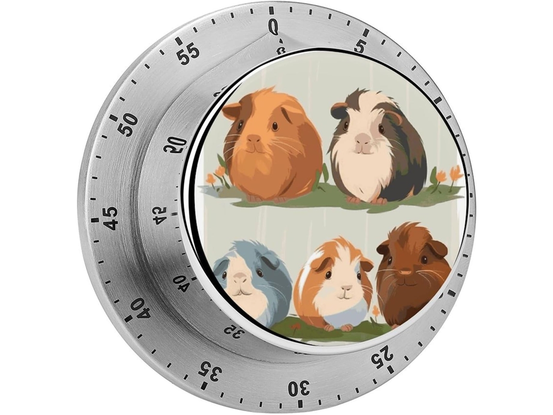 Temporizador De Cozinha Mecânico Cozinhar, 60 Minutos Com Parte Traseira Magnética, Alarme Alto, Aço Inoxidável