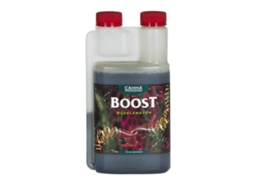 Boost Accelerator