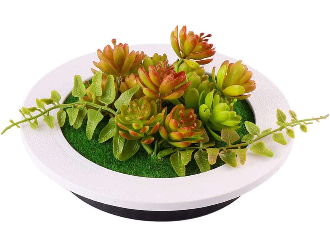 Moldura Redonda Fotos Planta Artificial Decoração Parede GOKOCO