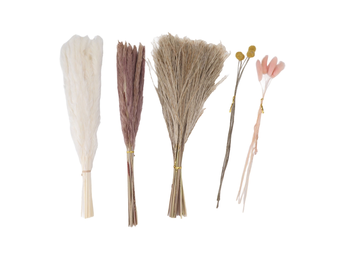 Buquê de Flores Secas Capim Pampas S/MARCA