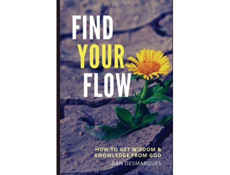 Livro Find Your Flow How To Get Wisdom And Knowledge From God De Dan Desmarques (inglês)
