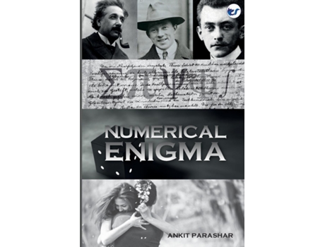Livro Numerical Enigma A Quantum Mystery de Ankit Parashar (Inglês)