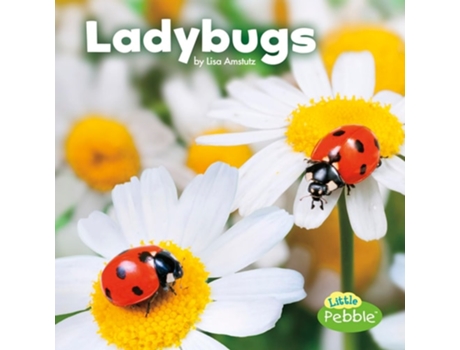 Livro Ladybugs de Lisa J Amstutz (Inglês)