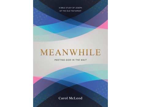 Livro Meanwhile Meeting God in the Wait de Carol McLeod (Inglês)