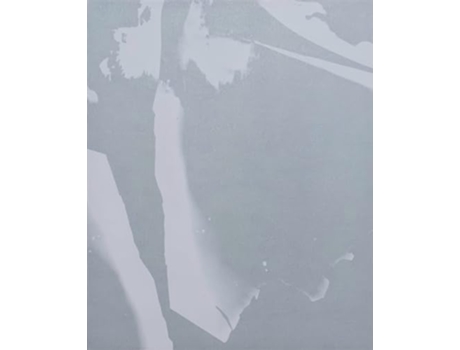 Livro OMALO de Eloy Gregoire (Inglês)