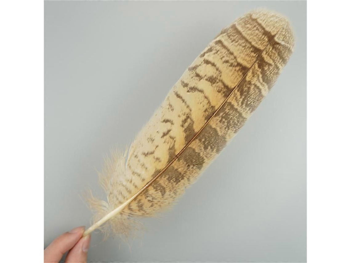10 Plumas De Águila Naturales Para Manualidades Adornos De Headdress Decoración Festiva Diy 25-30 Cm 10-12 Polegadas3 10 Unidades