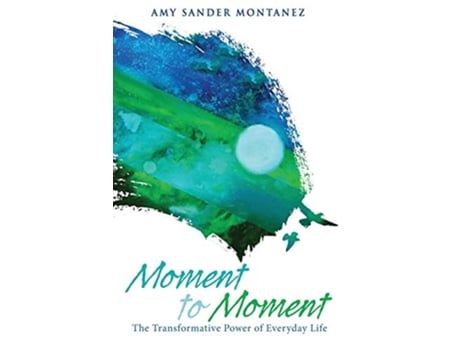 Livro Moment to Moment The Transformative Power of Everyday Life de Amy Sander Montanez (Inglês)