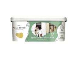 ALLY BRUSH Quadro Exterior 3L