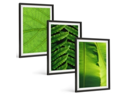 Conjunto De Pinturas Folhas Tropicais, Macrofotografia Espelharte (3 Peças 40x60 Cm)