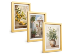 Composição De Quadros Limões Em Um Vaso, Plantas Espelharte (3 Peças 20x30 Cm)