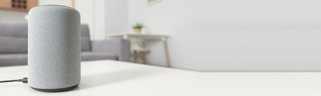 Smart Speakers