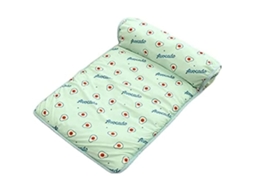 Manta Refrescante, em Seda Gelada, para Cães e Gatos, Lavável, Uso no Verão, Verde AQUAFORGE
