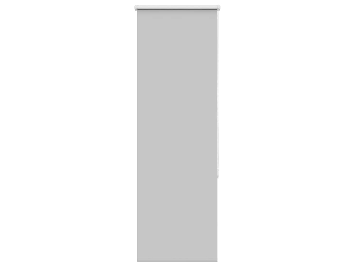 Estores de rolo VIDAXL Cinzeto Poliéster (55x175cm)