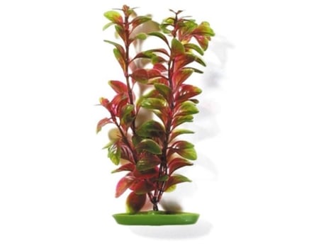 Aquascaper Grande Ludwigia 