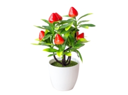 Planta Decorativa de Origem Verde com Fruta, Bonsaí, 18x22cm, Morangos Embebidos LAXISCREED