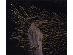 CD Forest Swords - Engravings