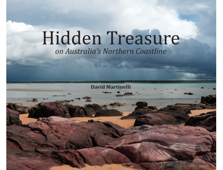 Livro Hidden Treasure de David Carlo Martinelli (Inglês)