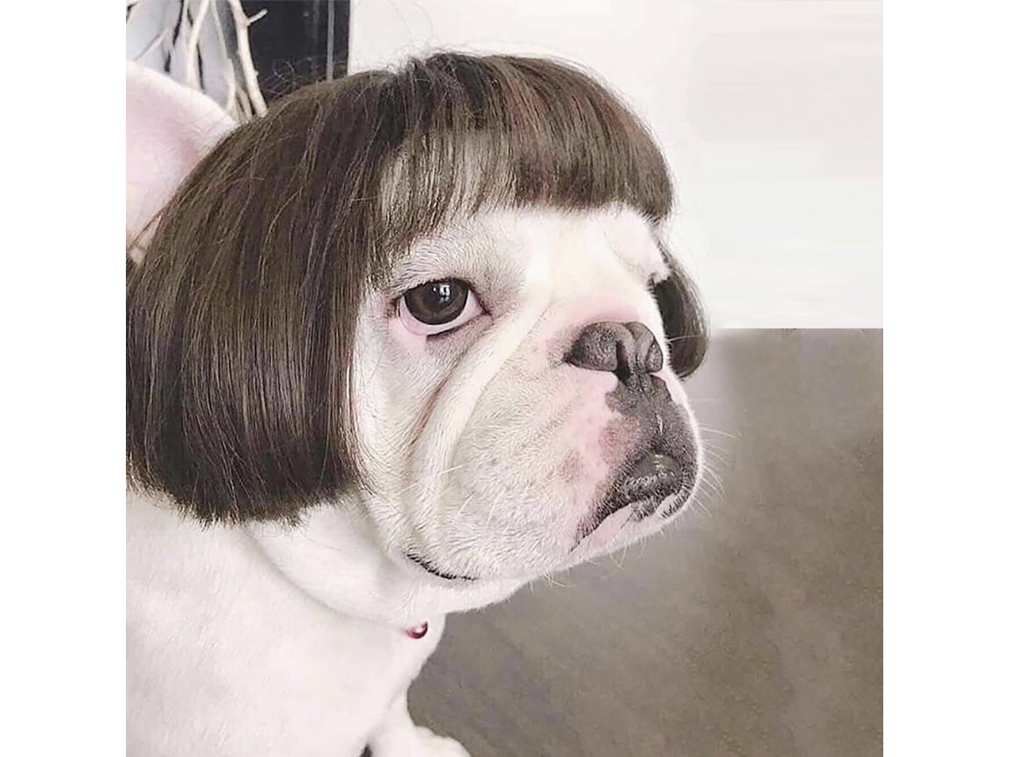 Peruca Para Cachorro Trajes Festivos Cosplay Pet