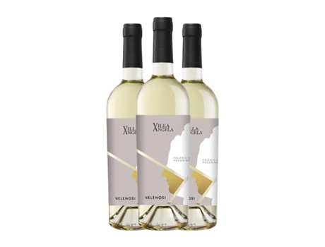 Vinho branco VELENOSI Pecorino Falerio (0.75 L - 3 Unidades)