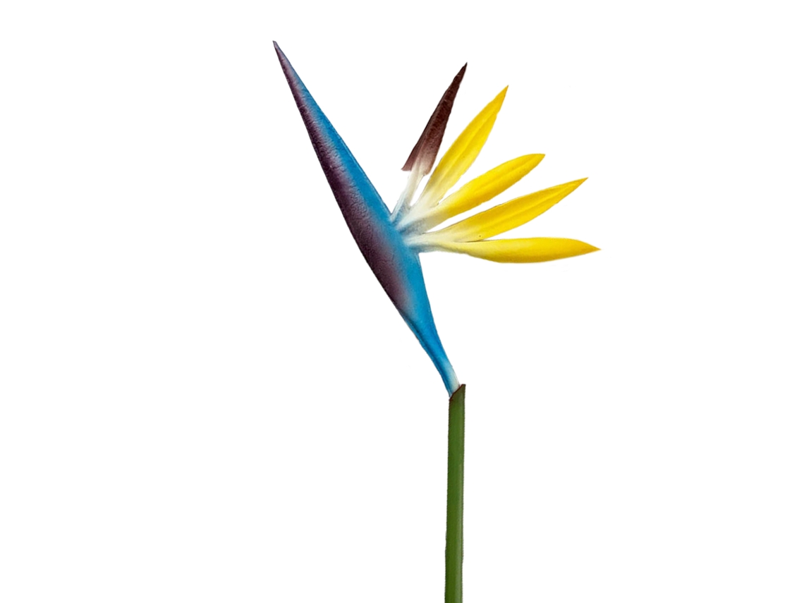 Laxiscreed Flor Artificial Bird Of Paradise Marine Blue Para Decoração De Interior
