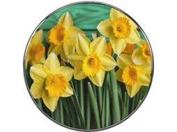 Ímã De Geladeira Com Flor Narciso Amarelo, Ímã Fofo E Colorido, Ímã De Liga Metálica Para Quadro Branco, Armário