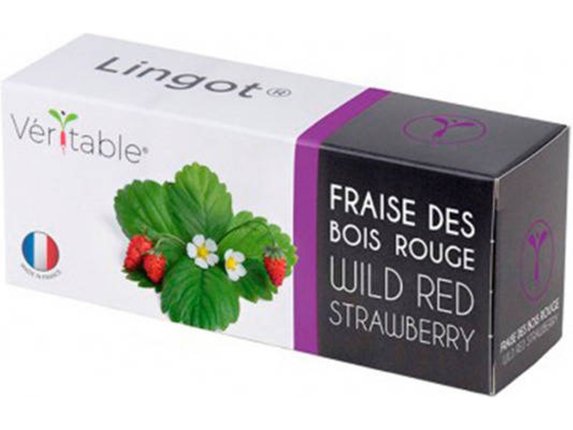 Morangos Vermelhos Lingot Véritable