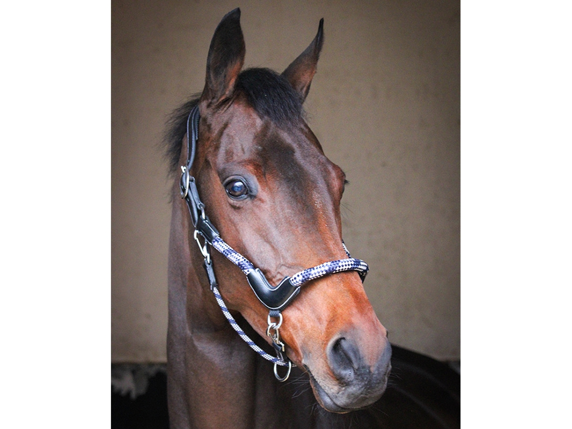 Cabresto de viagem para cavalos Jump'In Collection One