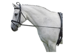 Rédeas Elastic Cinzento Fullwaldhausen