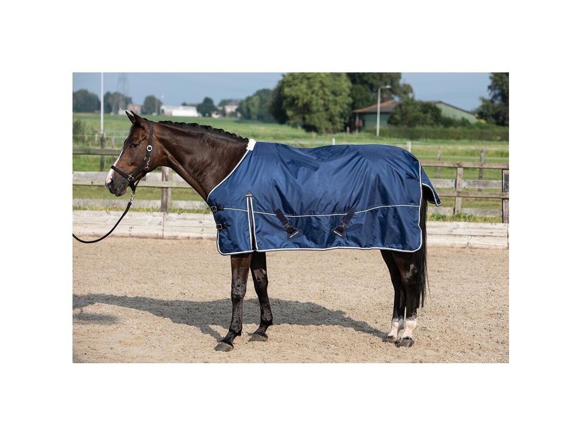 Manta para cavalos ao ar livre Harry's Horse Xtreme-1680 200 gr