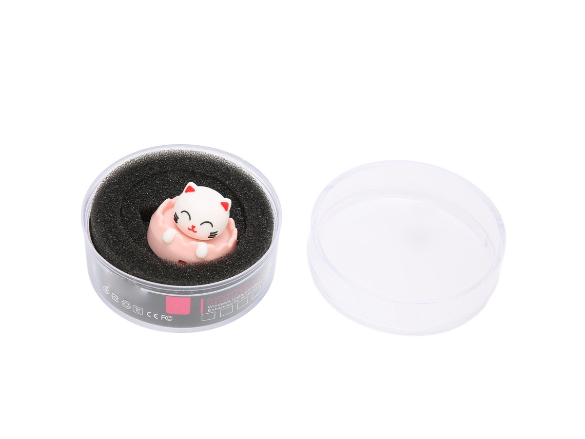 Pen Drive Usb Rotativo LAXISCREED