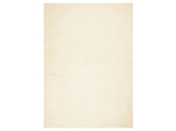 Rug, Rugs Vidaxl Creme Poliéster (240 X 340 Cm)