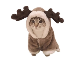 Fantasia De Natal Para Gatos Rena E Alce Roupa Fofa Para Gatos Cosplay De Rena Para Animais De Estimação Hengjian