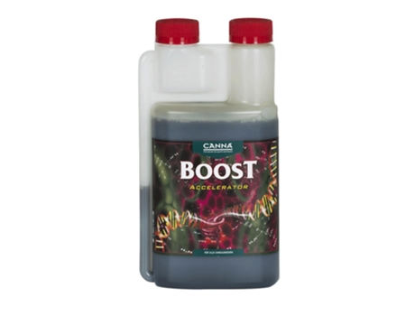 Boost Accelerator