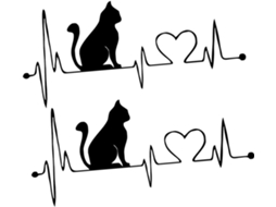 Conjunto De 2 Adesivos Decorativos Pretos De Pvc Com Formato De Gato Para Carro.