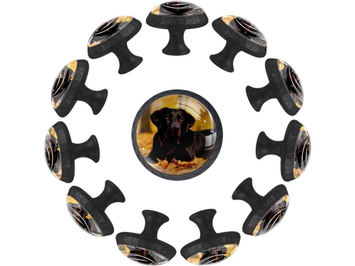 Puxadores E Botões Redondos Para Gavetas Armários, Conjunto De 12 Peças, Estampa De Cachorro Labrador Retriever Preto