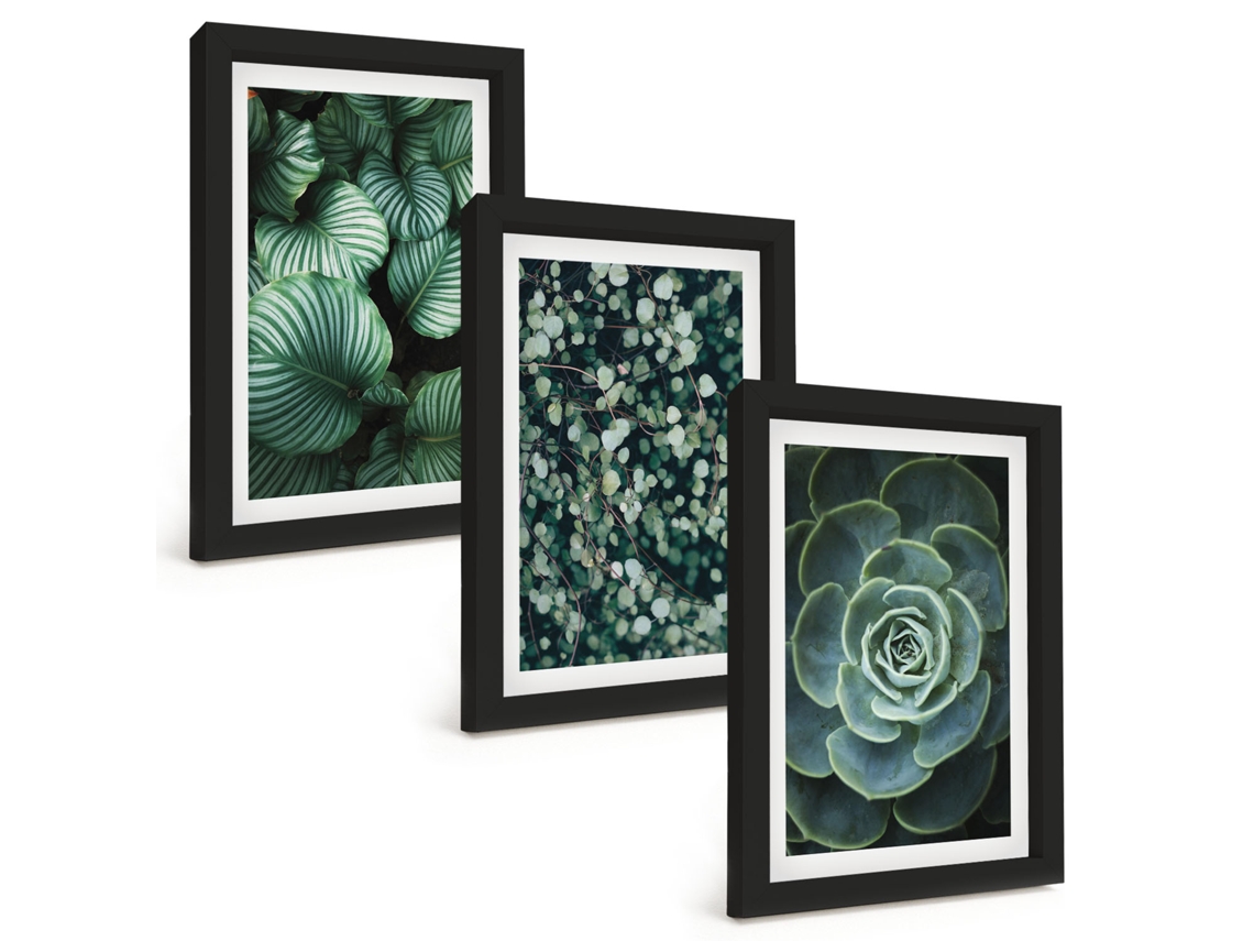 Pinturas Murais Modernasfolhas Verdes, Suculentas, Estilo Moldura Preta Fotos Para O Corredor Espelharte (3 Peças 20x30 Cm)