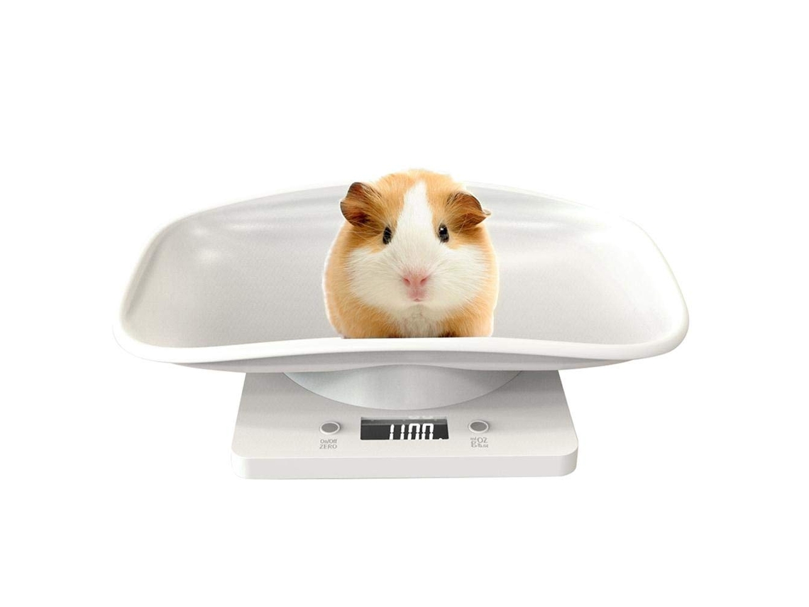 Balança Digital Animais De Estimação Fdit, Com Visor Lcd E Plataforma Curva, Ideal Gatos, Cães, Papagaios
