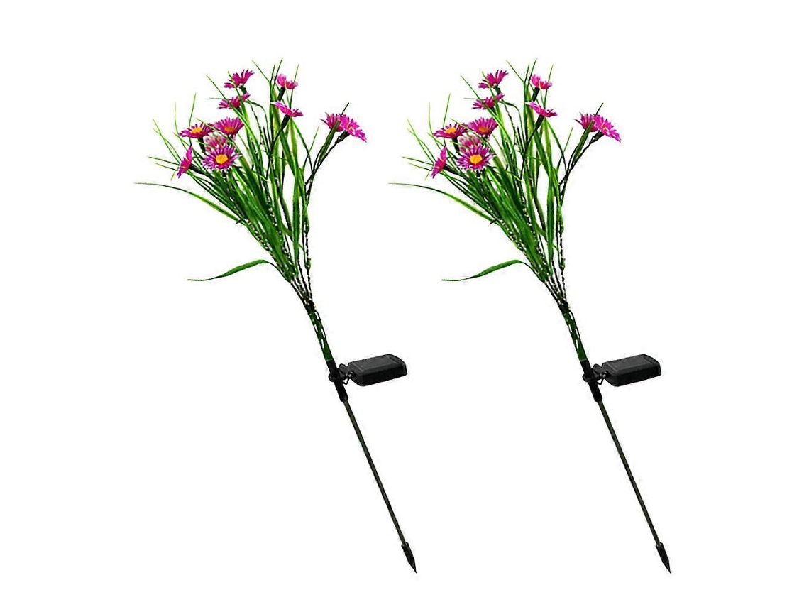 Decoração De Caminho De Jardim Com Energia Solar, Elegante E Prática Olysi Shop