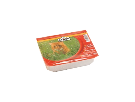 Camon Erva Para Gato