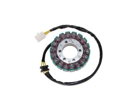Alternador de motocicleta adaptável original Electrosport Kawasaki