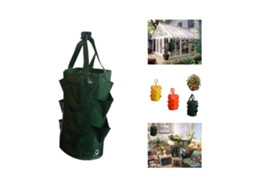 Regador Para Plantas De Morango Penduradas E Plantadores No Jardim