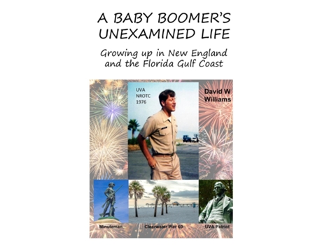 Livro A Baby Boomers Unexamined Life Growing Up In New England And The Florida Gulf Coast De David W Williams (inglês)