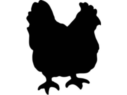 Quadro de parede de ardósia SECURIT FB-CHICKEN Galinha