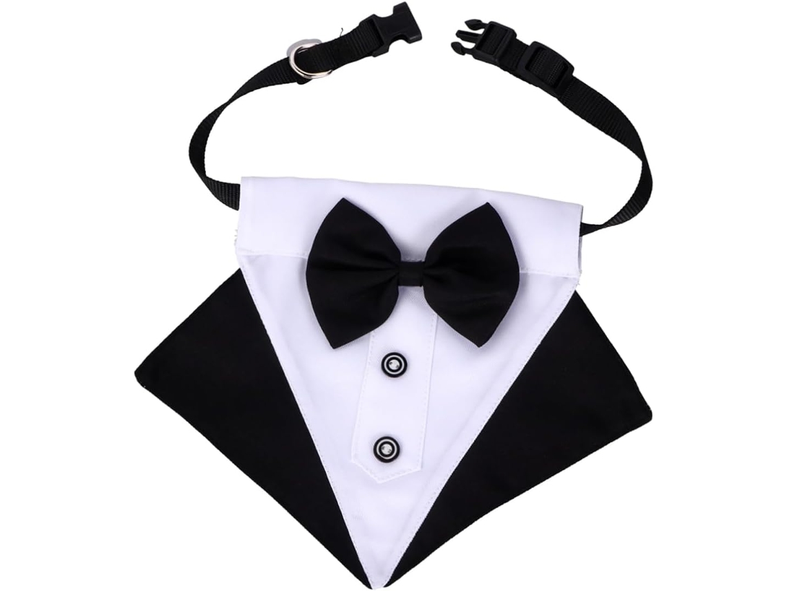 Bandana Triangular De Algodão Cães, Estilo Moderno