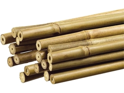 Tutor de Bambu para Plantas GROUW 1,1X120Cm