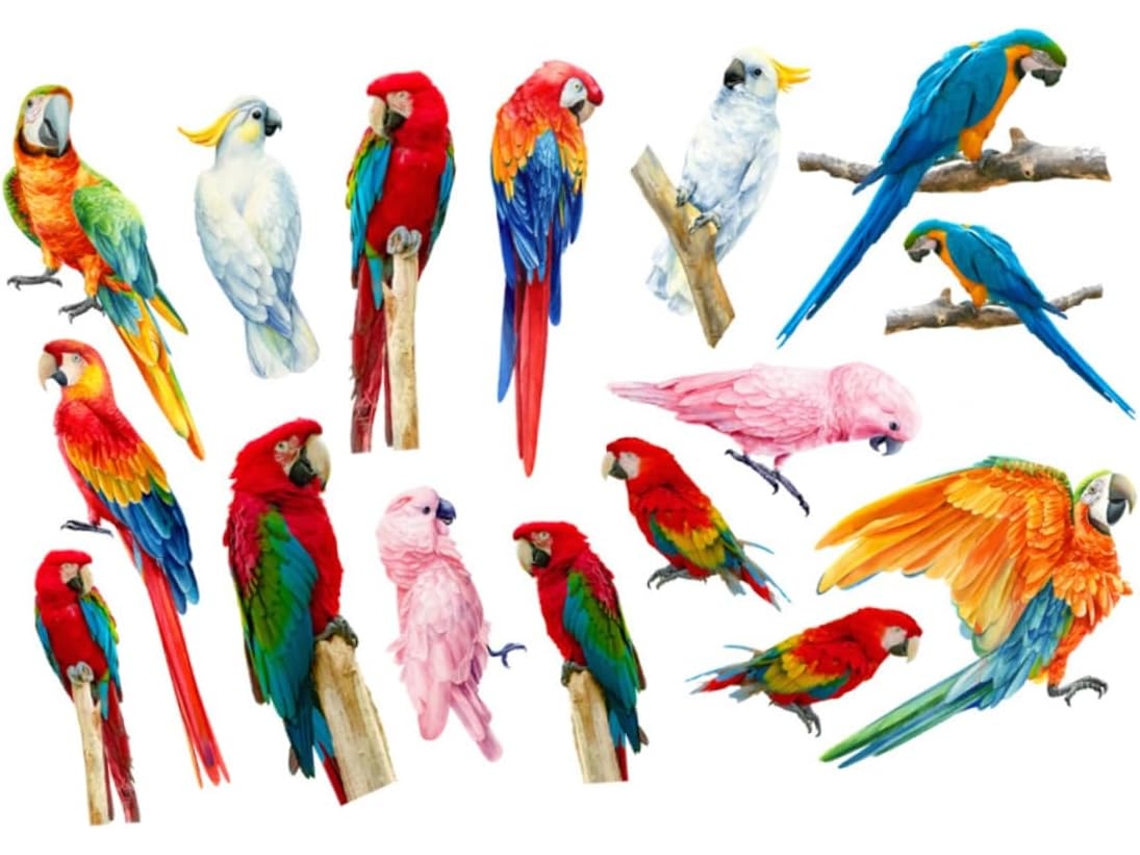 Adesivo De Parede De Papagaio Colorido E Criativo Para Decorar O Ambiente.