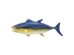 Primerox modelo de Peixe Marinho Realista Brinquedo Educativo para Crianças Presente Cognitivo