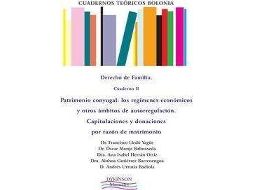 Livro Cuadernos Teoricos Bolonia. Derecho De Familia / Theoretical Bologna Papers . Family Law de Francisco Lledo Yague| Oscar Monje Balmaseda Ana Isabel Herran Ortiz Ainhoa Gutierrez Barrenengoa Andres Urrutia Badiola (Espanhol)