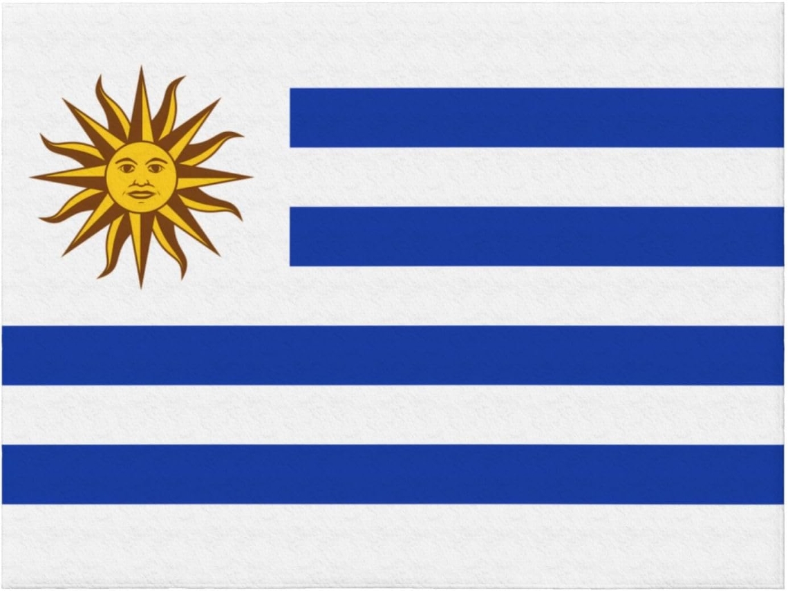 Manta de Flanela Ultramacia Phayah com Estampa da Bandeira do Uruguai Ideal para Sofá Cama Sala Estar Escritór